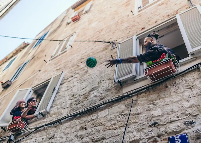 Fiesta Siesta SocialHostel